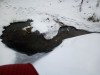 Подача воды из колодца. - IMG_20190206_091813.jpg