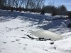 Пруд 6 соток 20х30 в Подмосковье - IMG_0011.JPG (2.73 МБ) 4074 просмотра Пруд 6 соток 20х30 в Подмосковье - IMG_0011.JPG