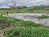 IMG-20190419-WA0010.jpg