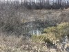 Вредители на наших водоёмах и средства борьбы. - 7CB2DF2B-D416-488F-8BA4-AB356F05F4A4.jpeg