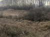 2A86C441-8324-4198-BFEB-9BCA3ADF7378.jpeg