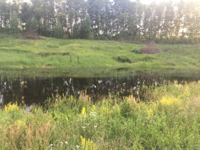 Ремонт дамбы после размыва - IMG_8725.JPG
