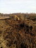 Растягиваем сдвинутые кусты тонким слоем в подстилку : - IMG_20200115_112856.jpg (437.32 КБ) 10178 просмотров Растягиваем сдвинутые кусты тонким слоем в подстилку : - IMG_20200115_112856.jpg