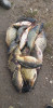 20190927_150811.jpg