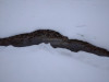 0999C783-0385-4136-9DD1-8583FC24DB71.jpeg