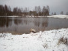 Беседка - IMG_20200228_113526_3.jpg