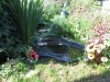 Дачный рыбовод. - IMG_100800000.JPG (377.76 КБ) 9413 просмотров Дачный рыбовод. - IMG_100800000.JPG