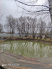 Мой пруд  - IMG_20200419_132005.jpg