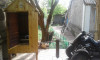 20200507_091507.jpg
