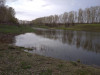 274CD20D-59CF-4278-A9F3-009E2DC72C24.jpeg