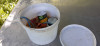 20200604_124621.jpg