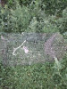 11-я плотина - IMG_20200721_211328.jpg