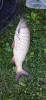 20200731_201312.jpg