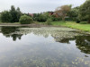 2020-09-04 13-13-25.JPG