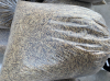 Личинка черной львинки сухая - Черная львинка.png