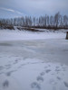 Тамбовская область, старый пруд 0.76 га. Востановление - ED210FCC-4F65-4FBC-8D77-329BD1D21029.jpeg