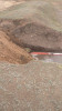 IMG-adb2c8c5e18c21b1ac04a89c68913903-V.jpg