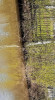 20210509_160652.jpg