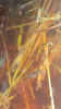 1647973414844.jpeg