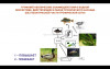 Кто как воздействует на биогены в водоеме. - Screenshot_20220323-204633_YouTube.jpg