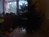 Поздравления - 00010006.JPG (387.71 КБ) 17466 просмотров Поздравления - 00010006.JPG