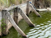Реновация пруда, строительство монаха,переделка дамбы - PHOTO-2022-09-06-15-51-30.jpg