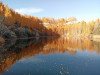 Аквариум - IMG_20211009_134425.jpg