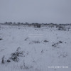 Оживление мертвеца 15 Га - WhatsApp Image 2023-01-13 at 11.55.04 (1).jpeg (317.16 КБ) 9197 просмотров Оживление мертвеца 15 Га - WhatsApp Image 2023-01-13 at 11.55.04 (1).jpeg